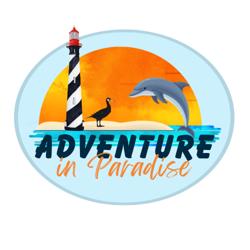 Adventure In Paradise Inc