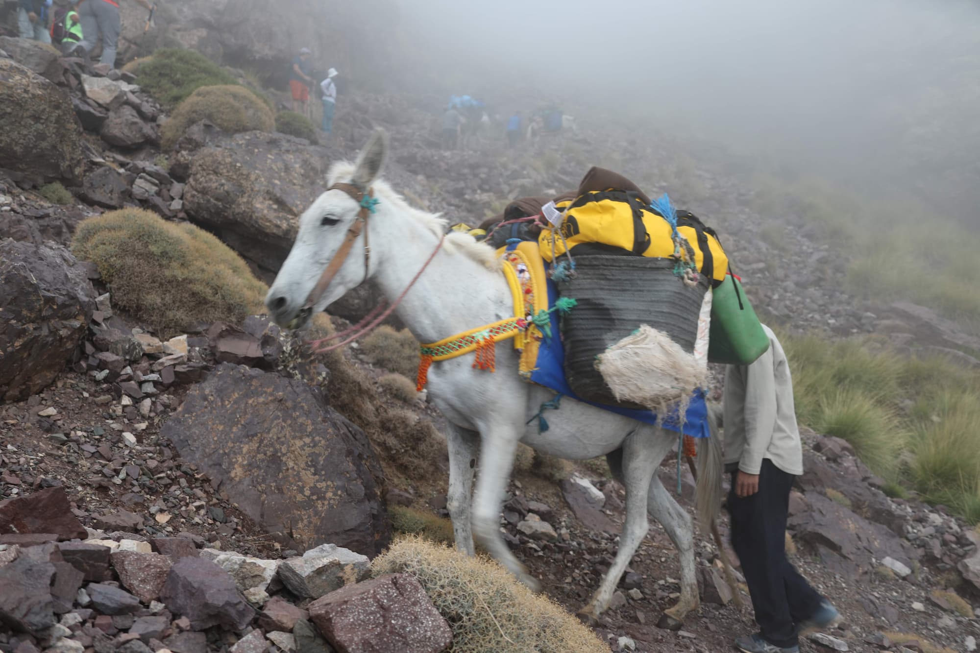 Mountain Sahara Treks