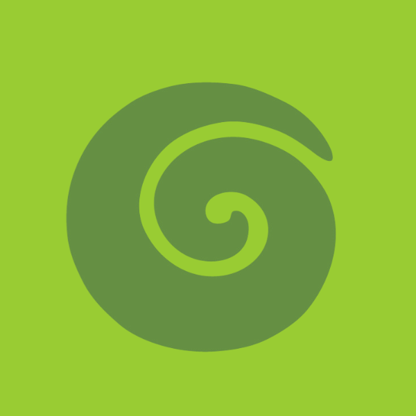 New Zealand Travel Organiser