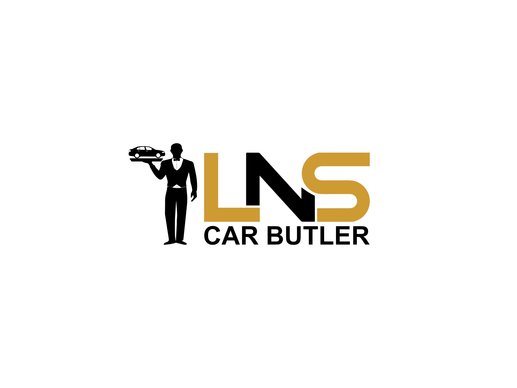 LNS Car Butler