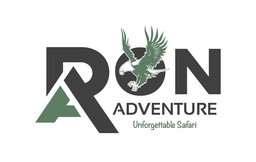 Ronadventure