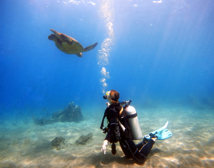 Aloha Maui Diving