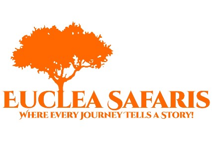 Euclea safaris