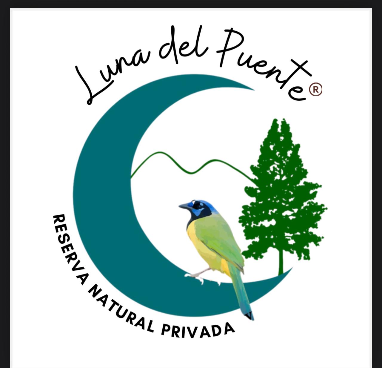 Luna del Puente