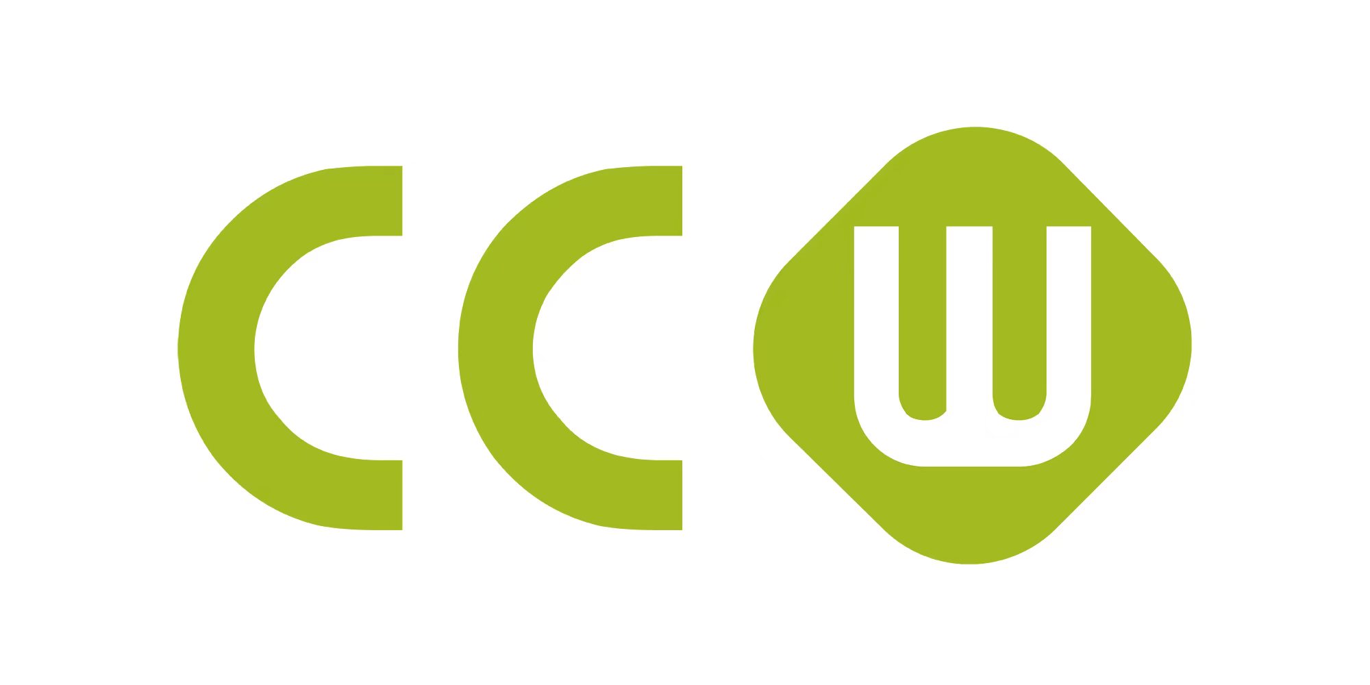 Chinese cooking workshop