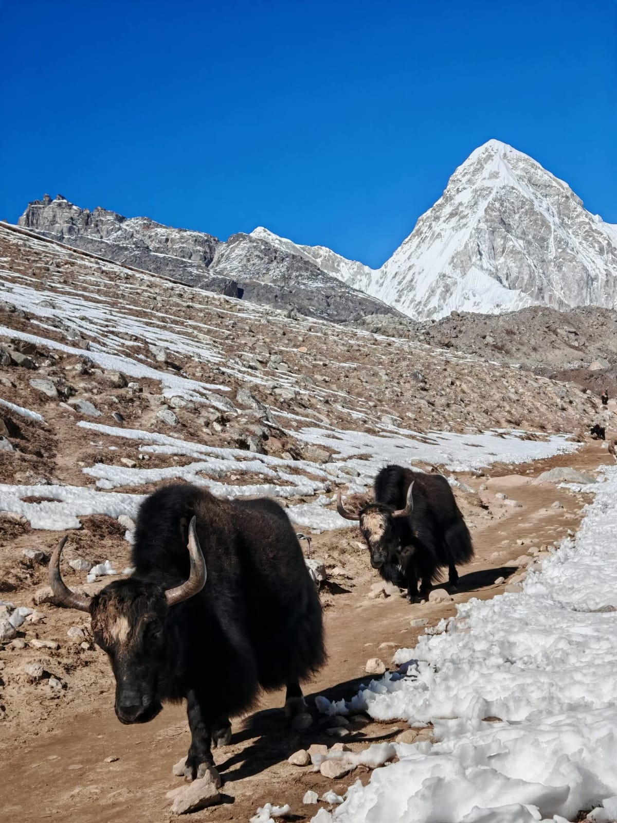 Holiday Planner Treks