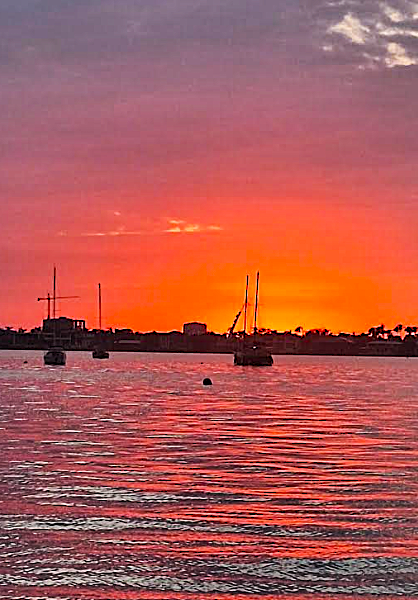 Taste of Downtown Sarasota