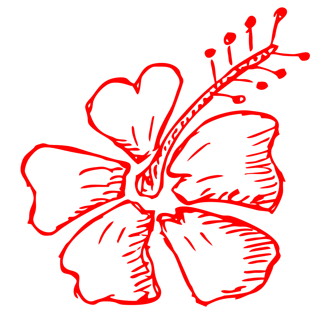 Beautiful Tours Panama