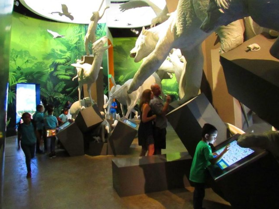 Beautiful Tours Panama