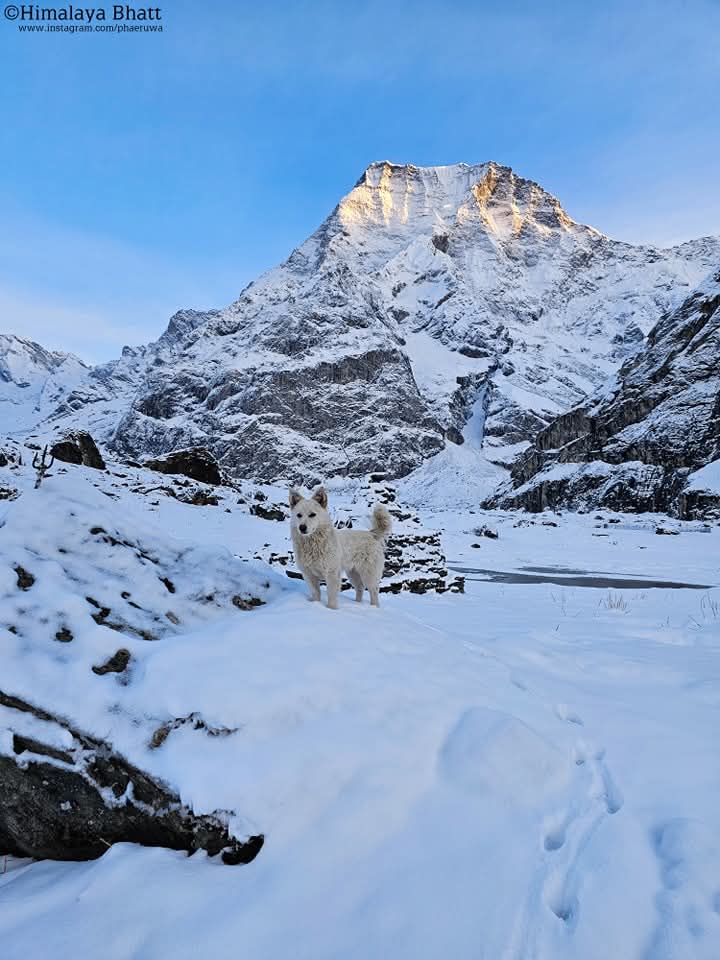 Buki Adventure Pvt. Ltd