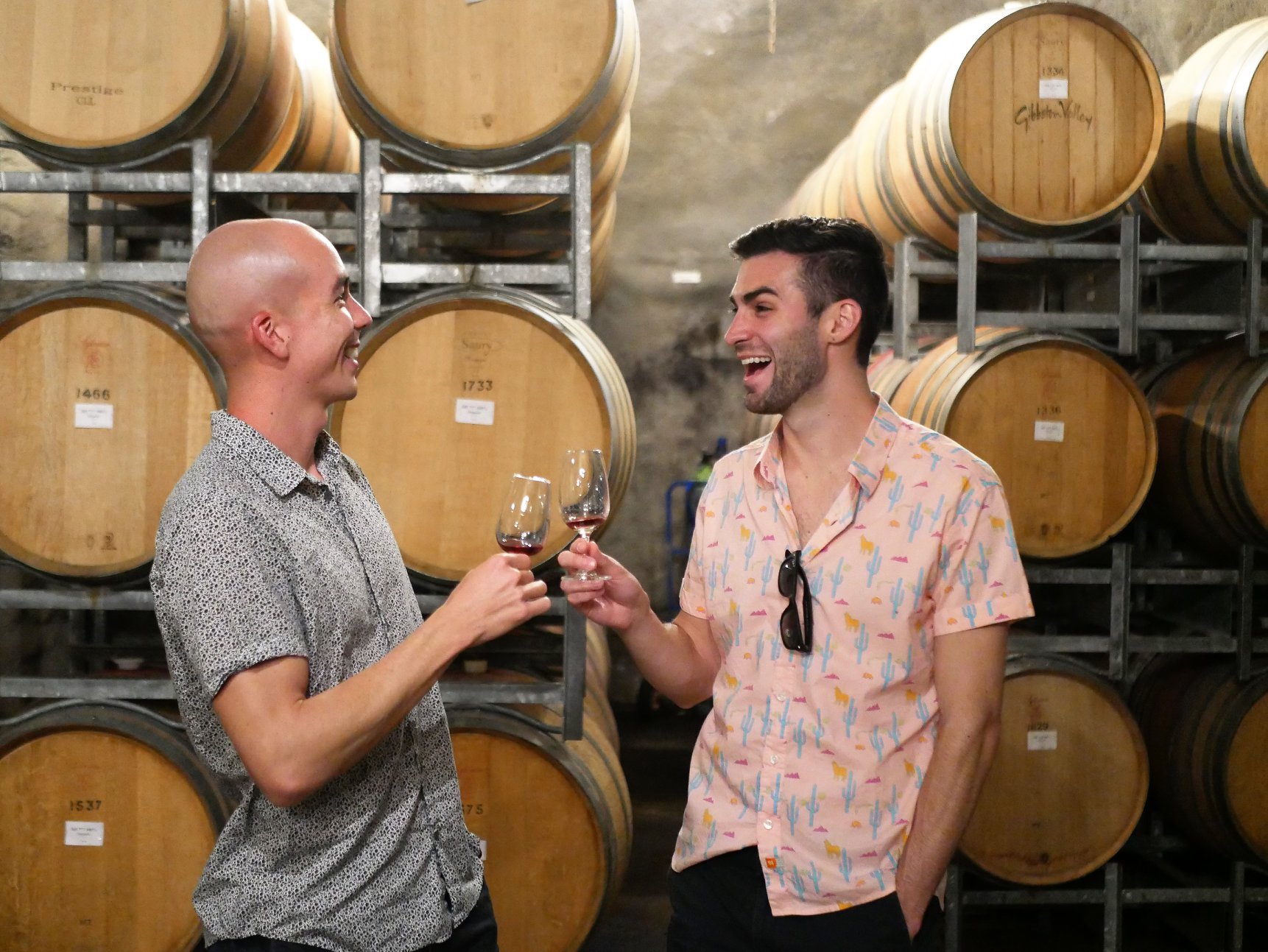 Queenstown Winery Tours