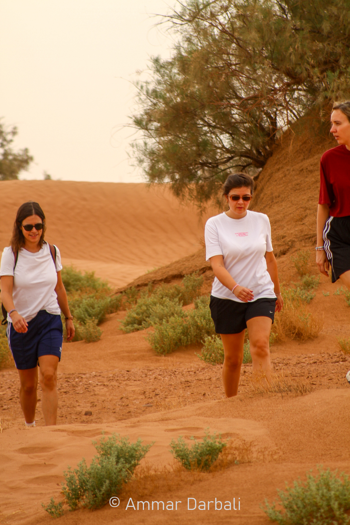 Voyage Desert Mhamid