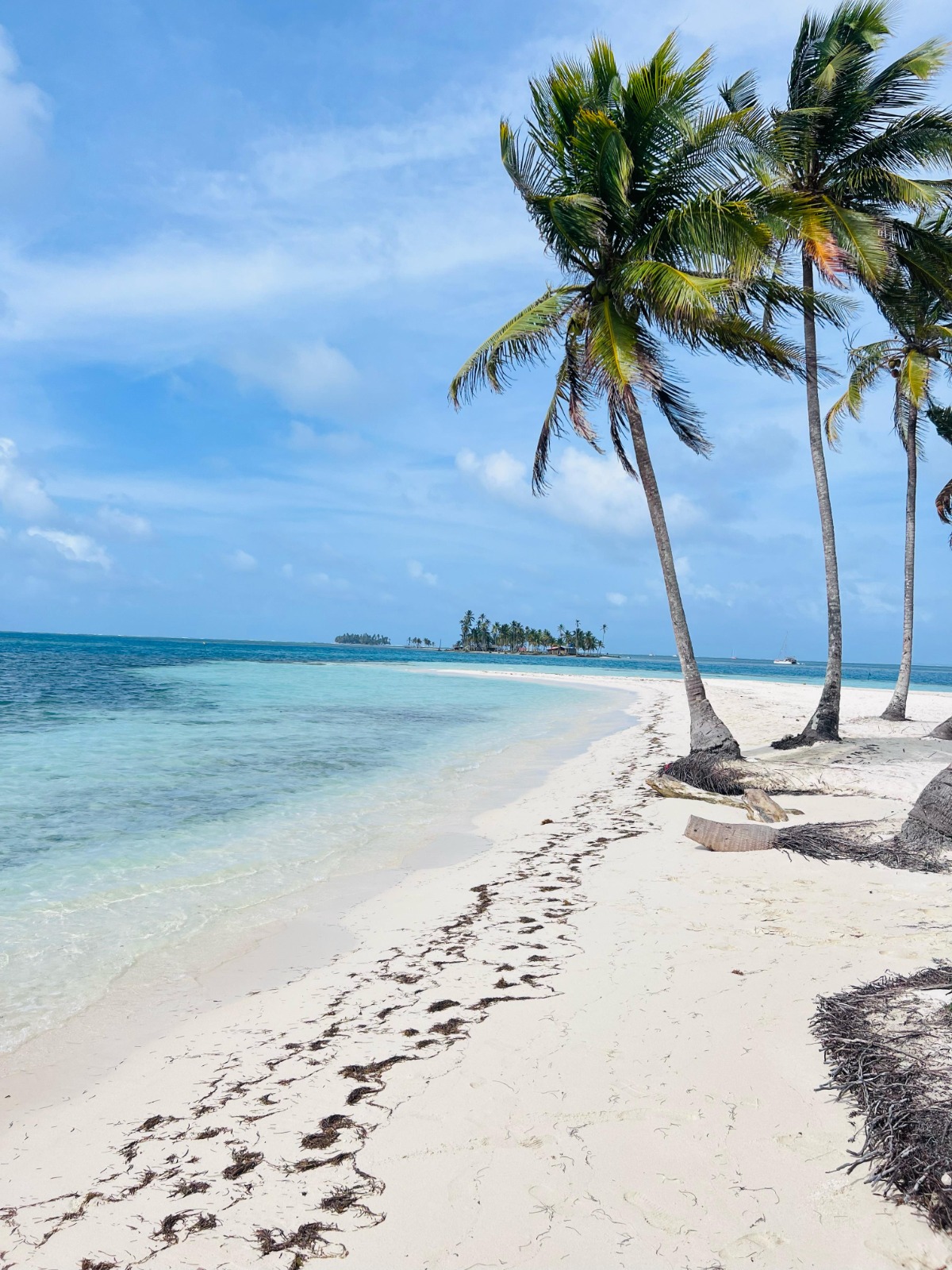 Tours Latino Travel Panamá