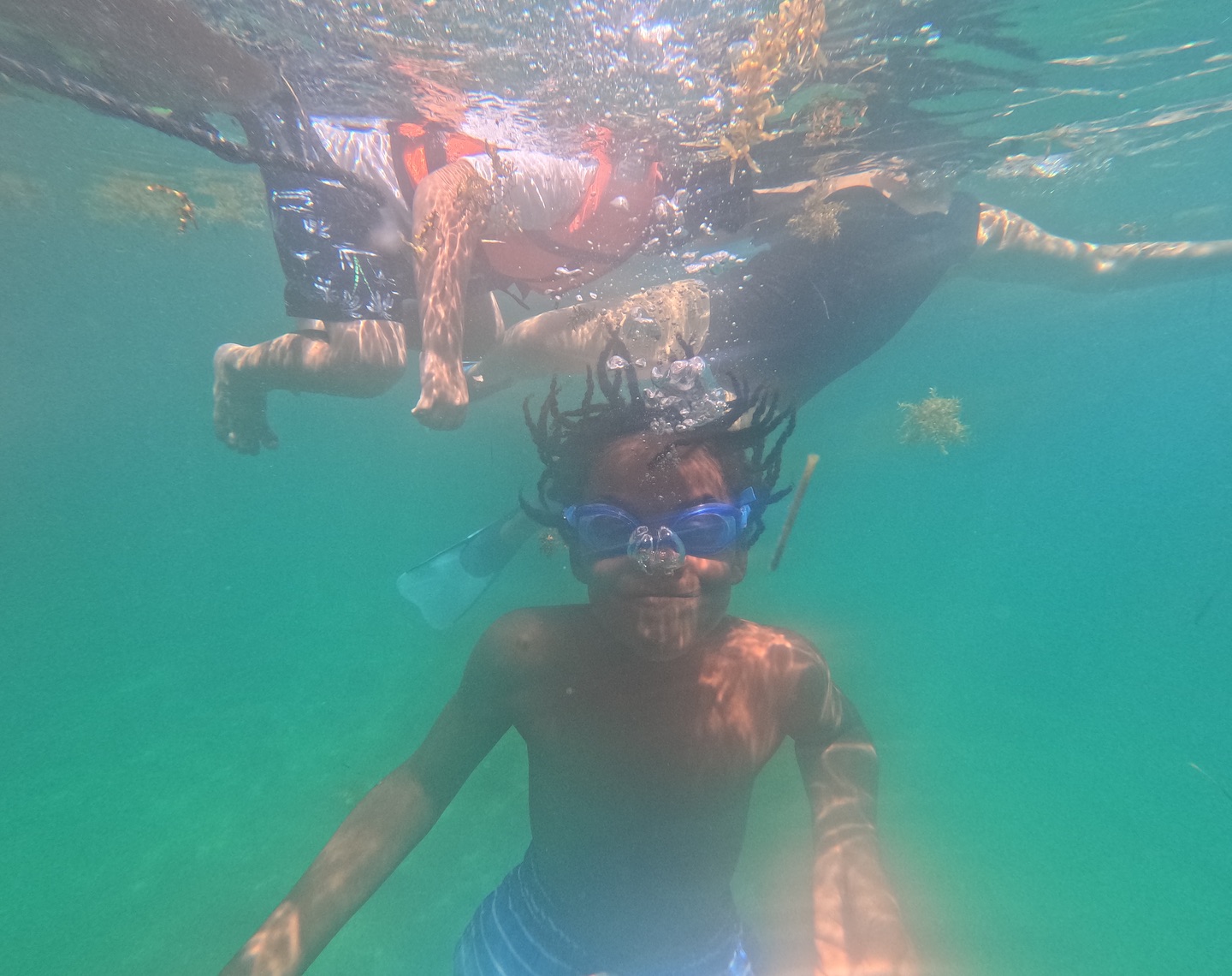 We Love the Sea Conservation Experiences