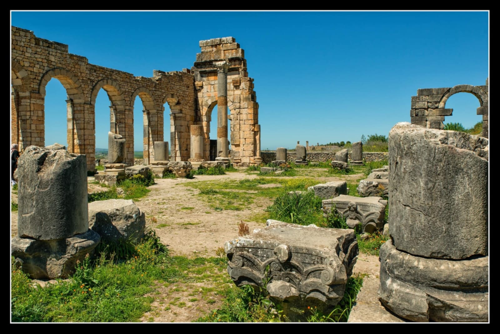 Fez to Volubilis