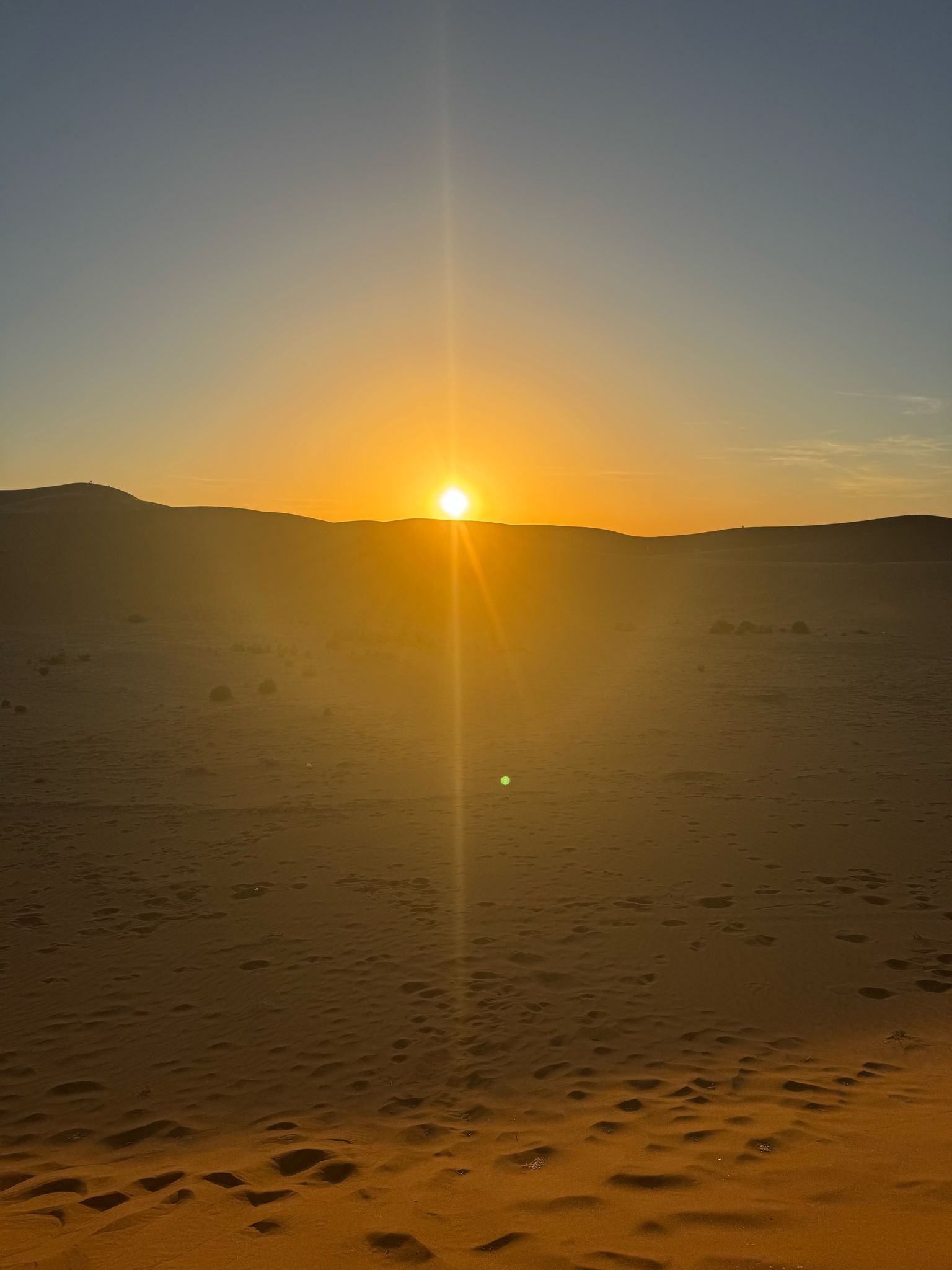 Caravane Renard Du Désert fox
