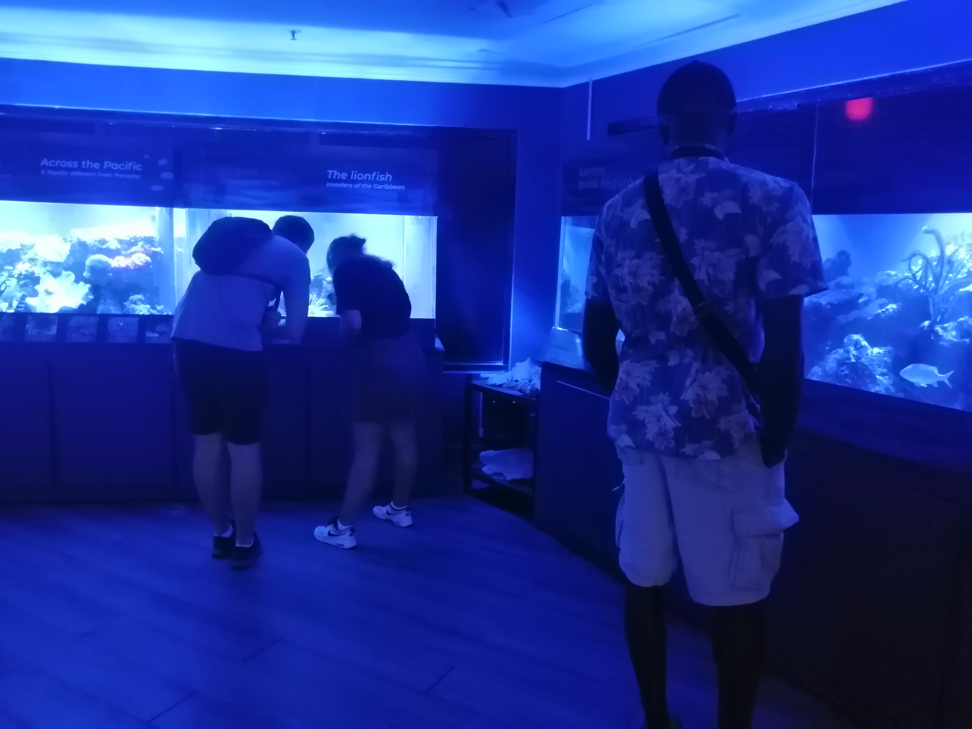 Beautiful Tours Panama