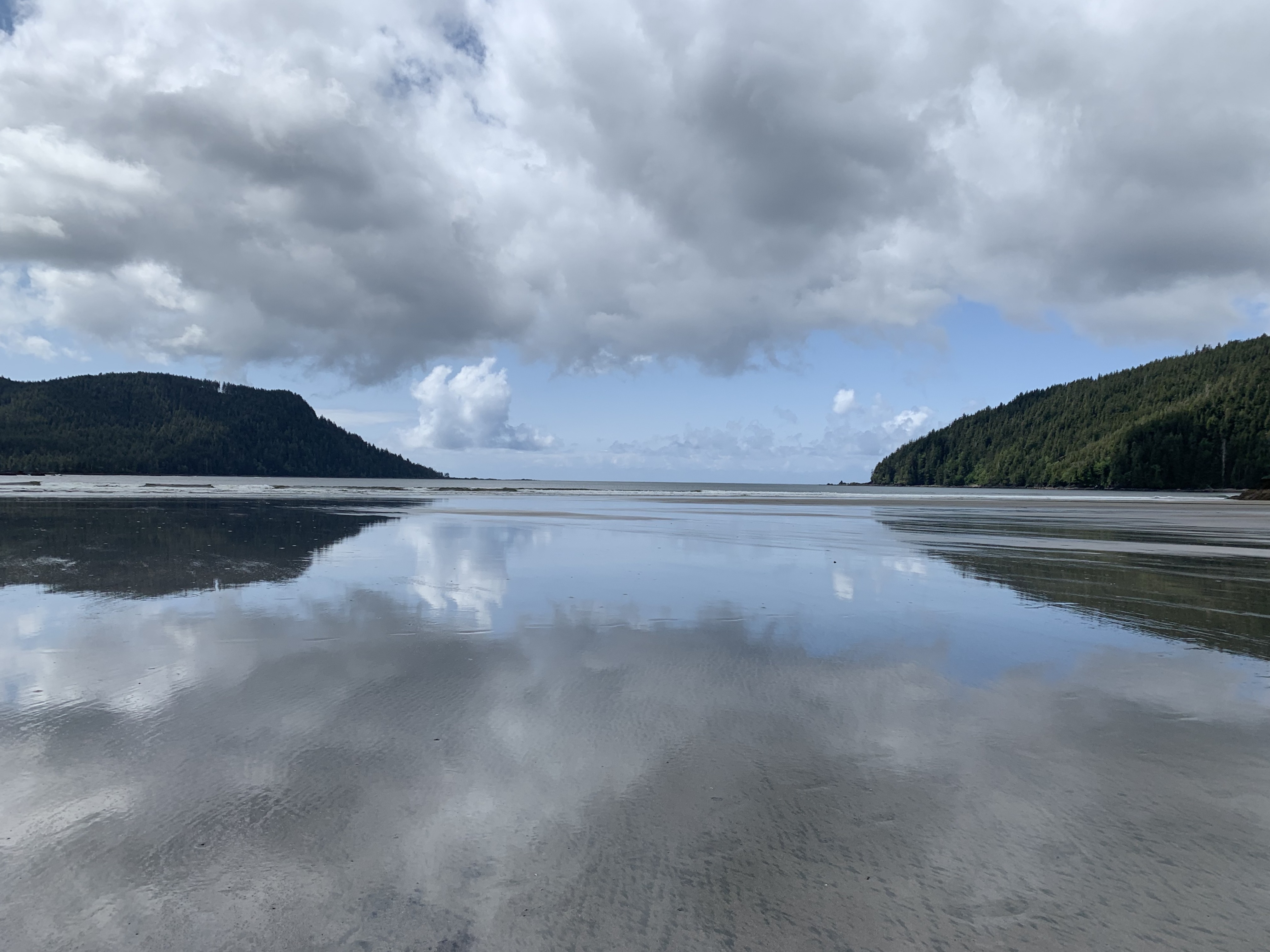 cove adventure tours