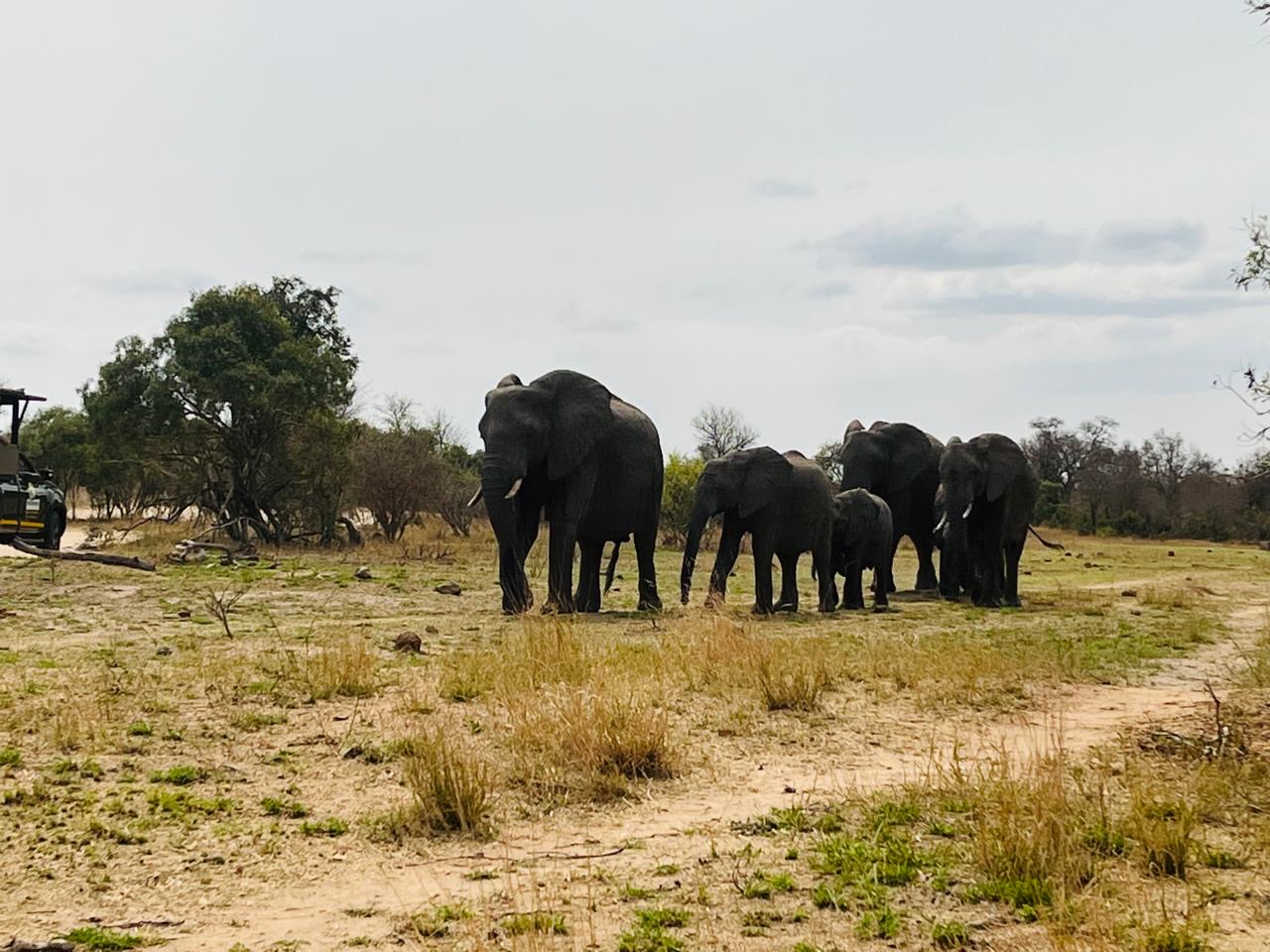 Ultimate Victory Tours