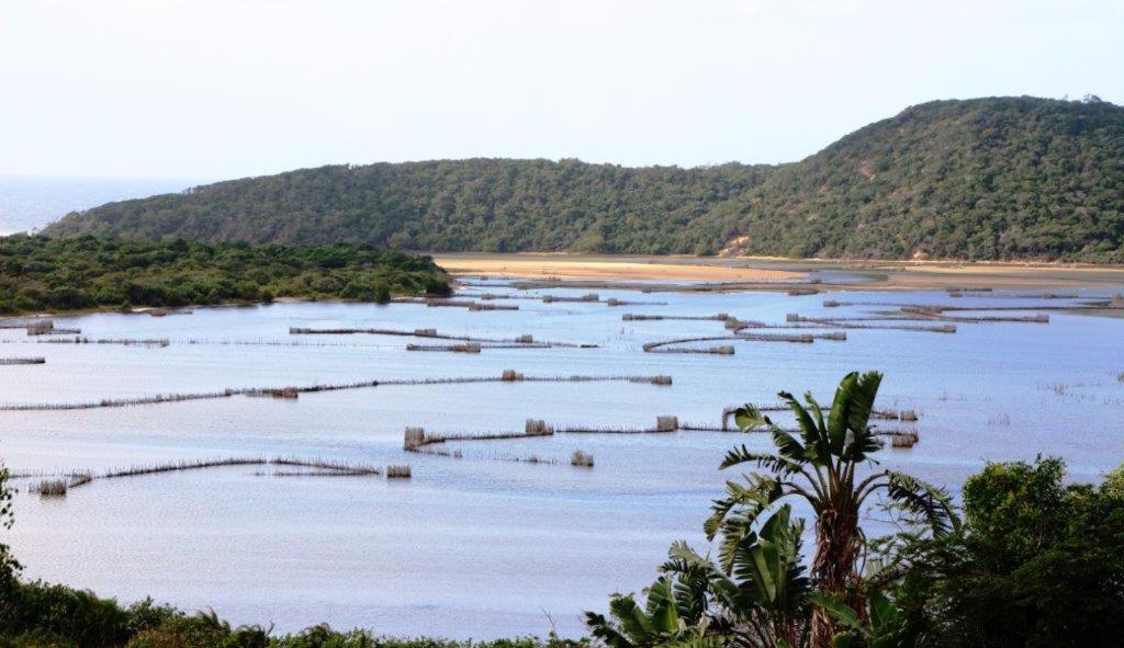 Bushbaby Safaris Zululand (PTY) LTD