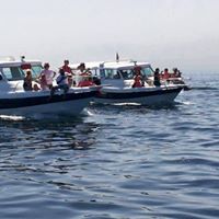 AHLAN ARABIA TRAVEL & TOURSIM LLC