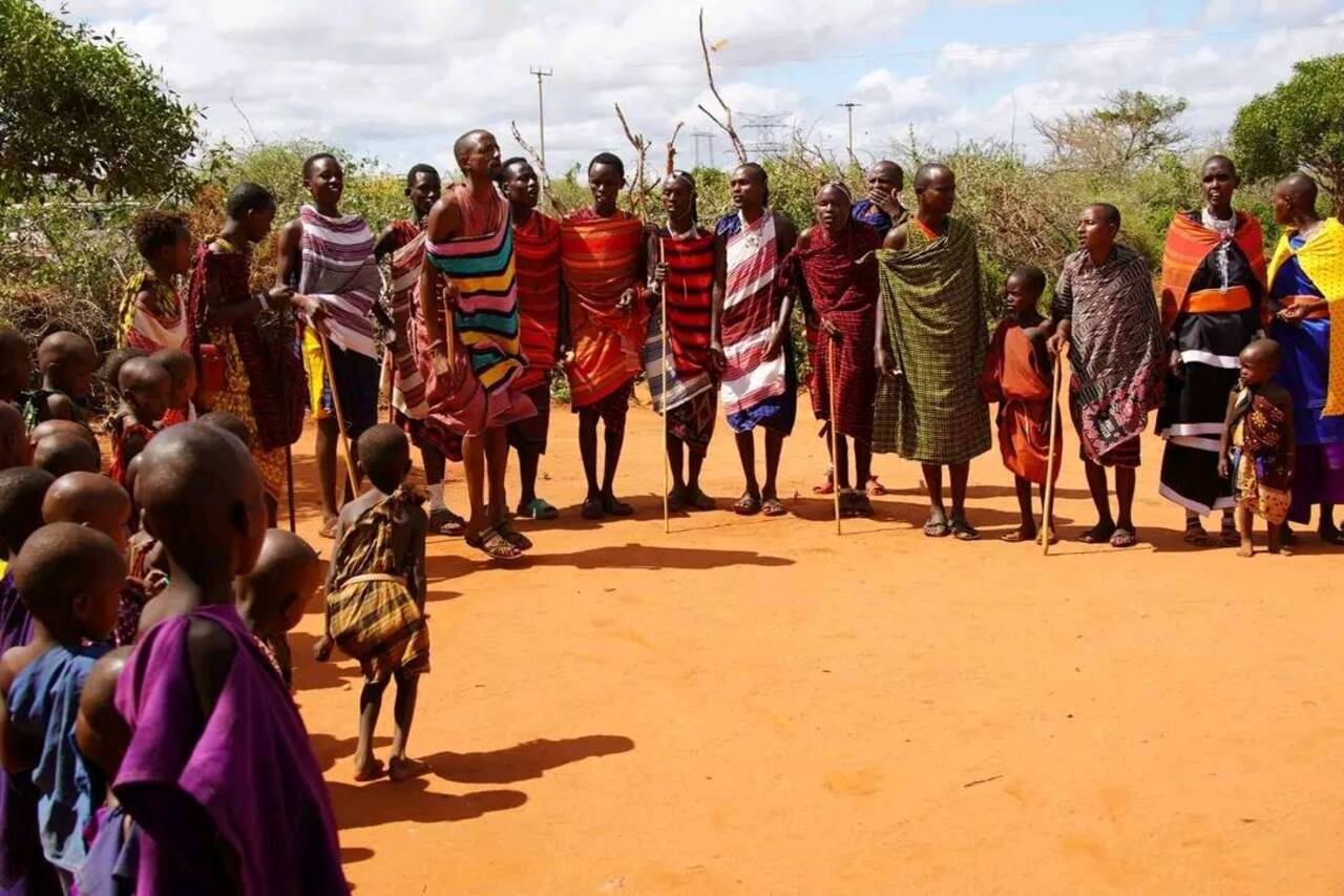 Hakuna Matata Safaris