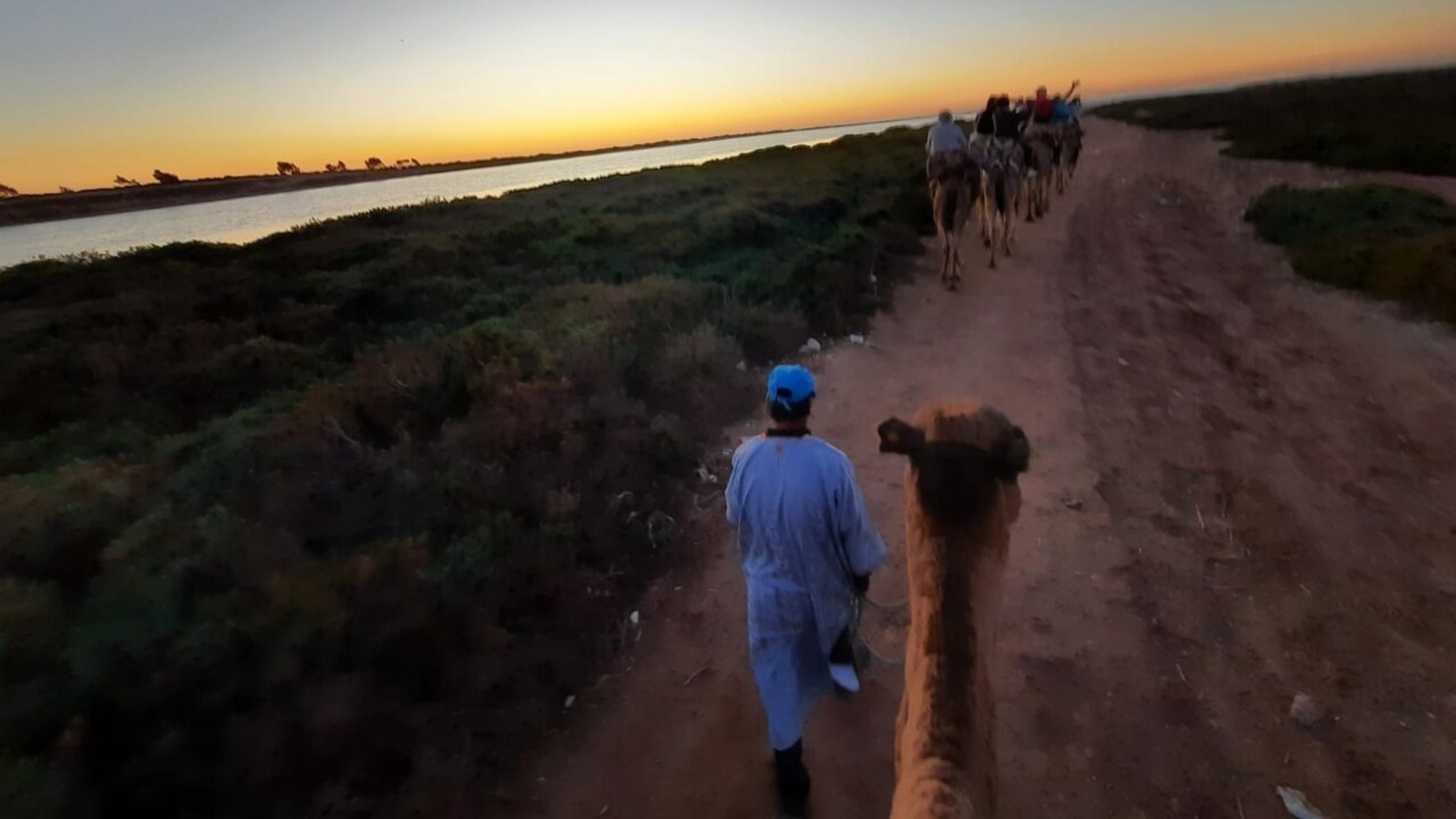 Sunset Camel Ride with BBQ and Couscouss Dinner