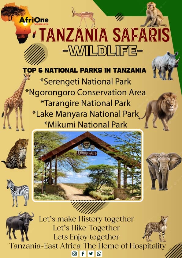 AfriOne Adventures and Safari LLC