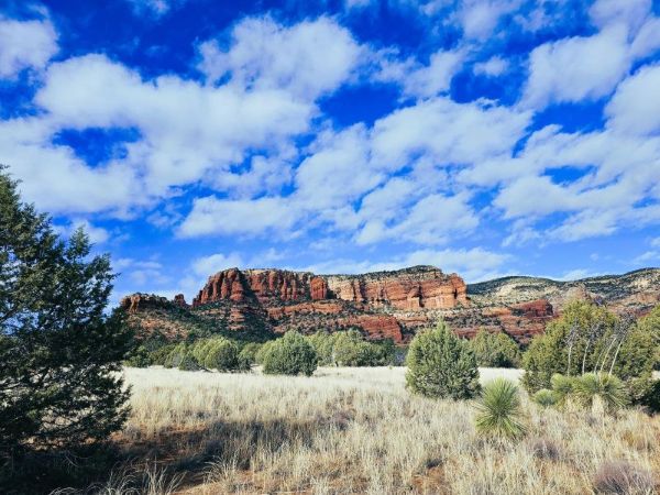 Lime Green Tours LLC