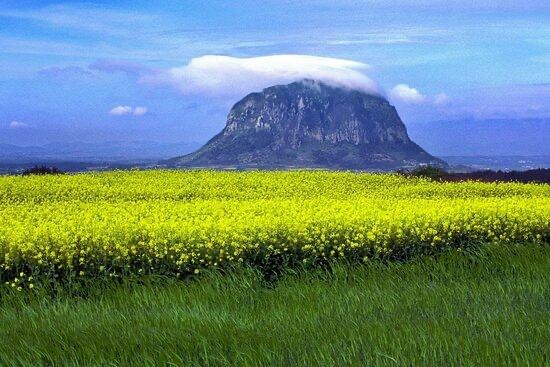 Samjin travel jeju tour