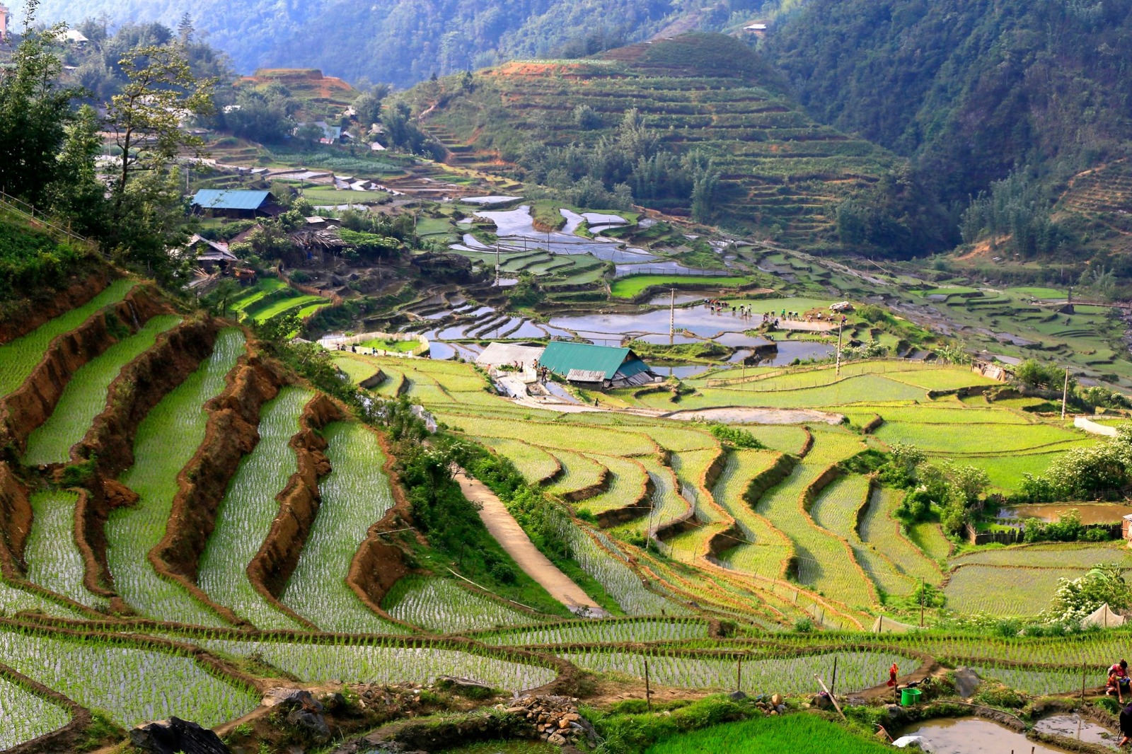 Vietnam Holiday Tours