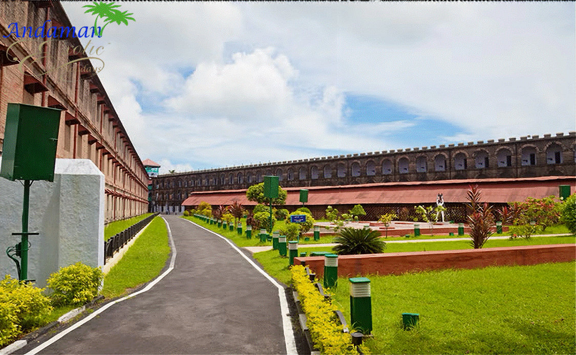 Andaman Exotic Holidays