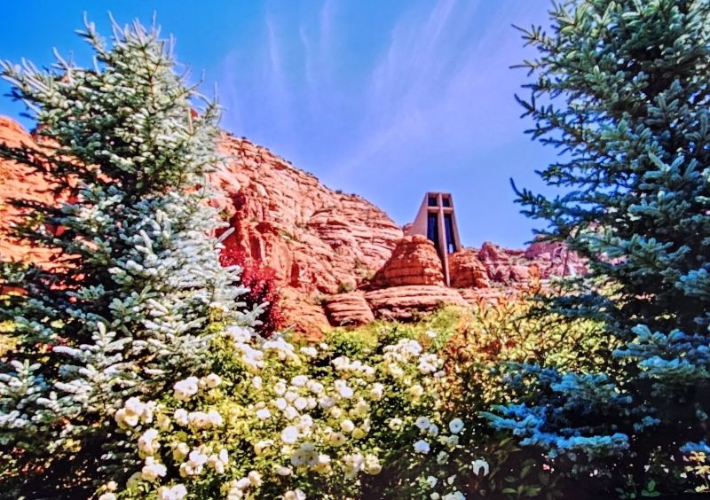 Lime Green Tours LLC