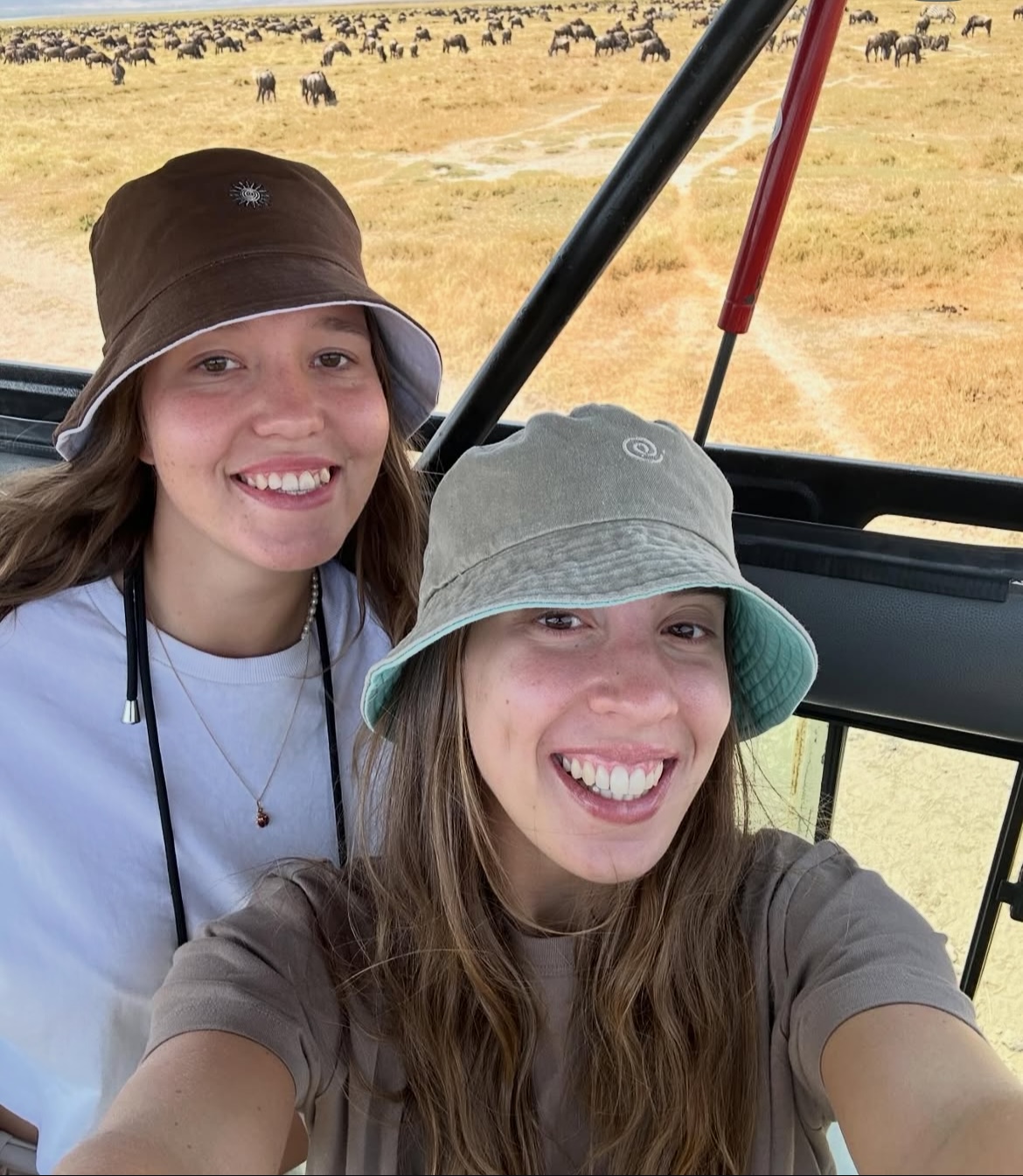 Bush and Forest Explorers