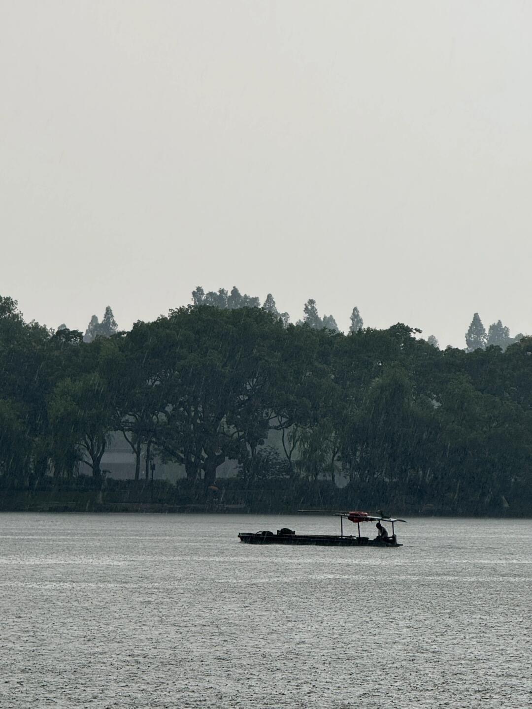 Authentic Hangzhou 1 Day Trip with a Local Guide