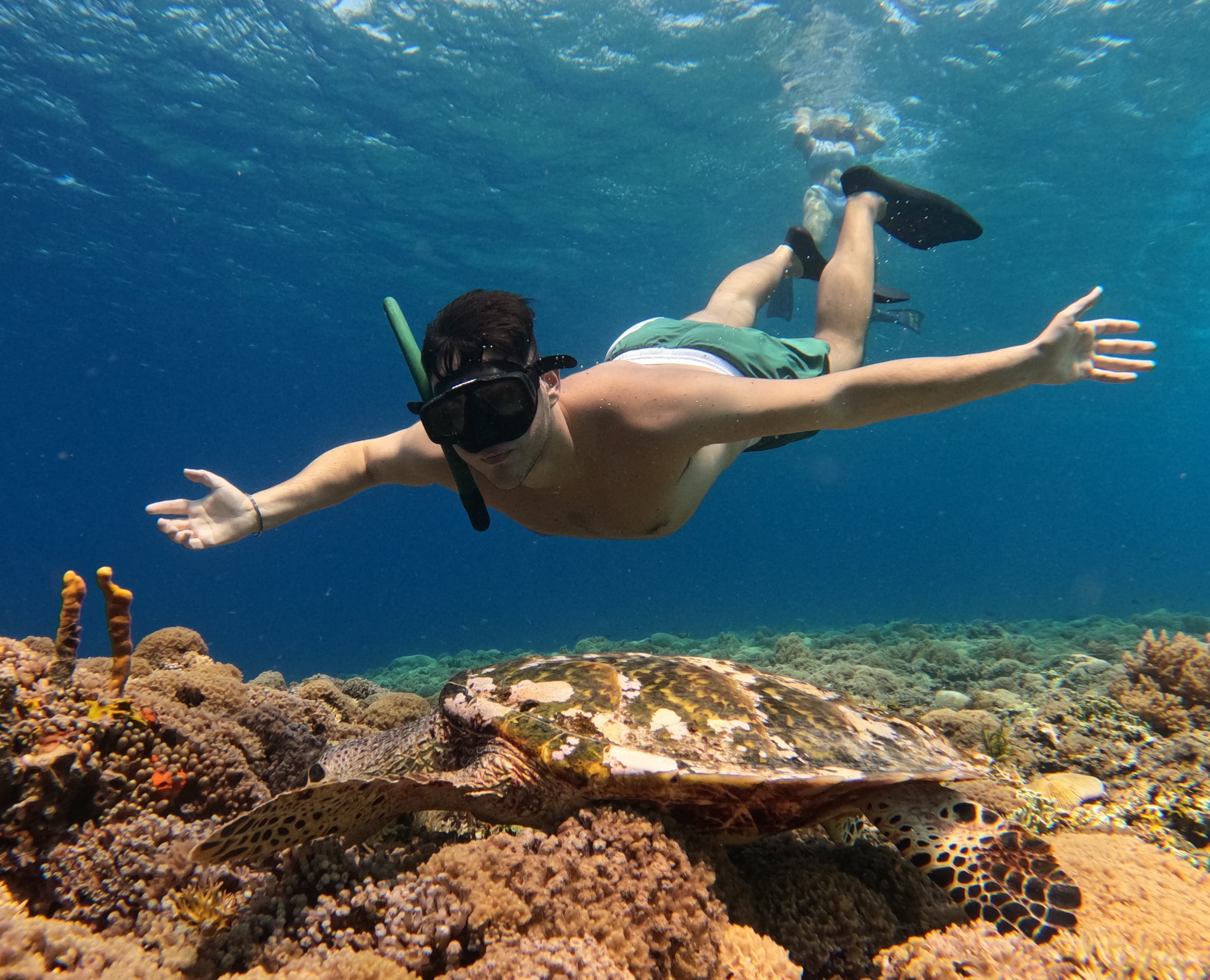 ozzy snorkeling centre