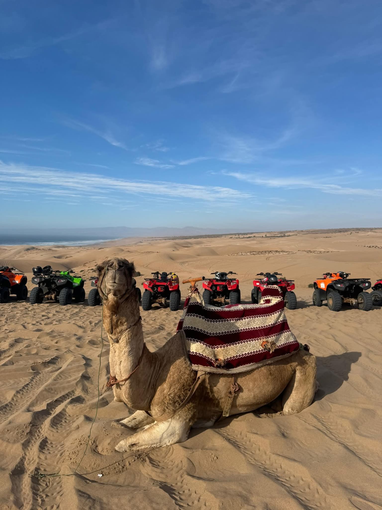 In Morocco Tours Agency