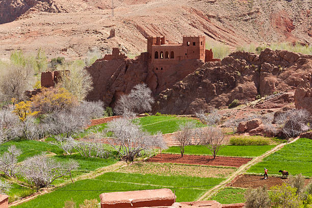 Oussikistours Morocco