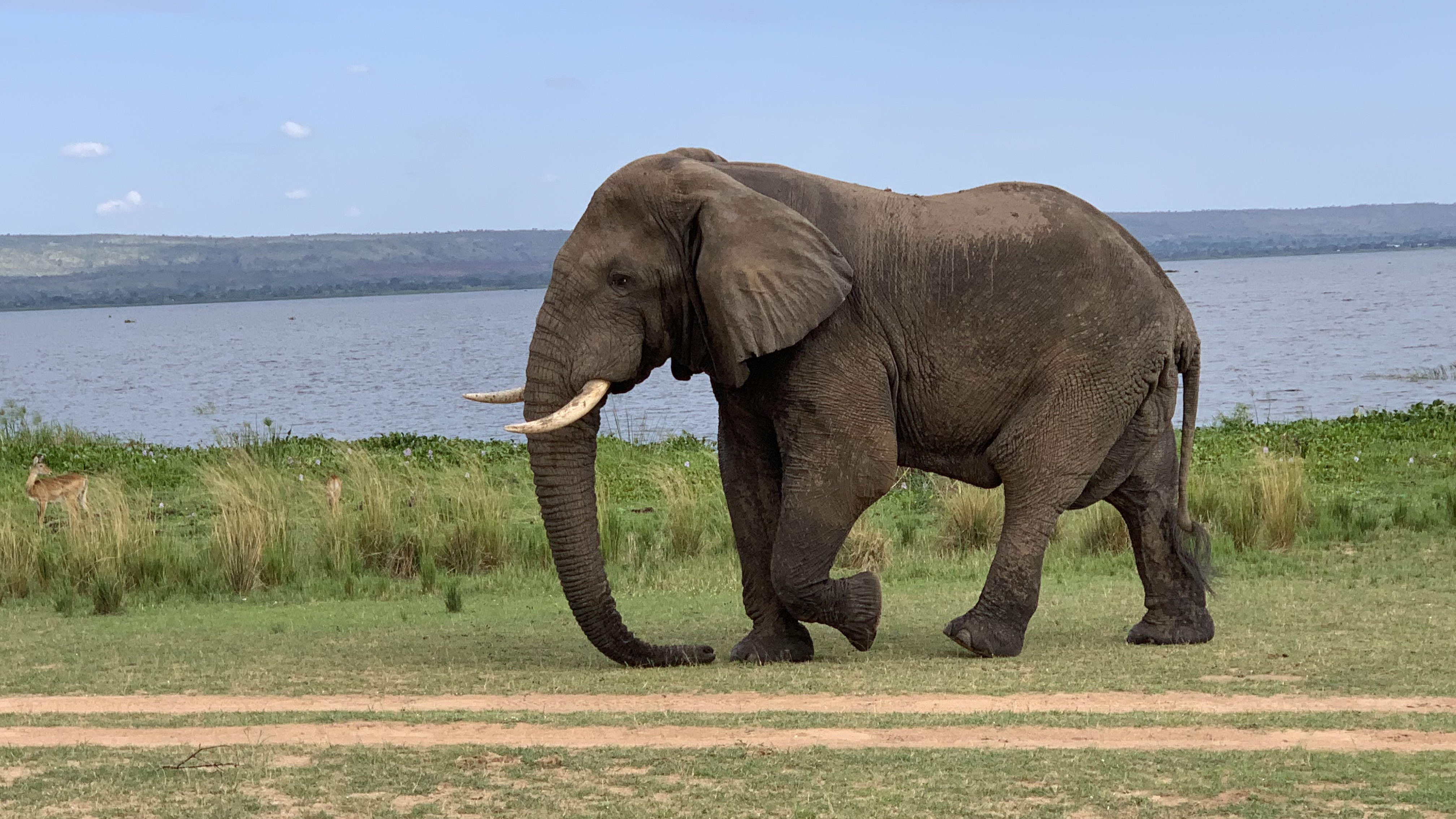 Ubumwe Tours & Travel Ltd.