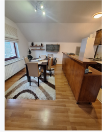 Apartman Sara Pale-Ski centar Ravna planina