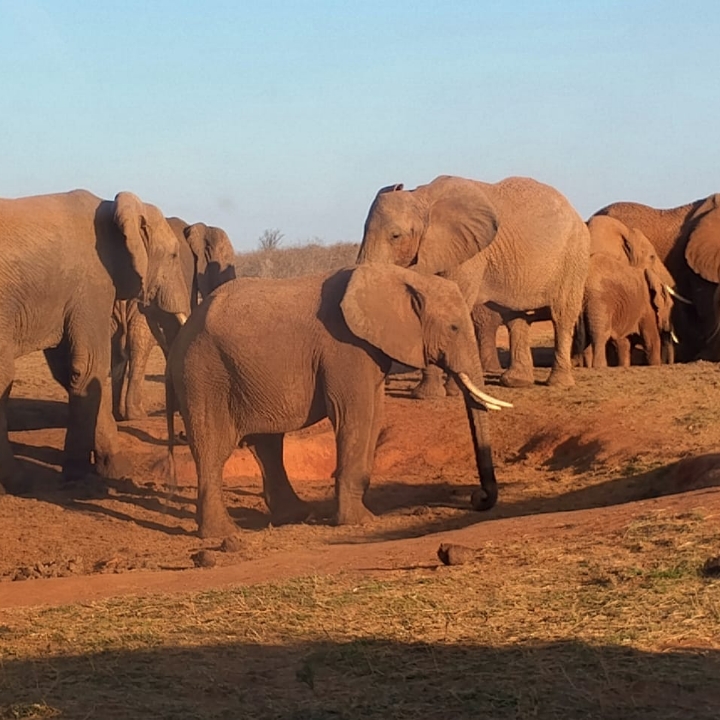 Nice man adventure tours and safaris