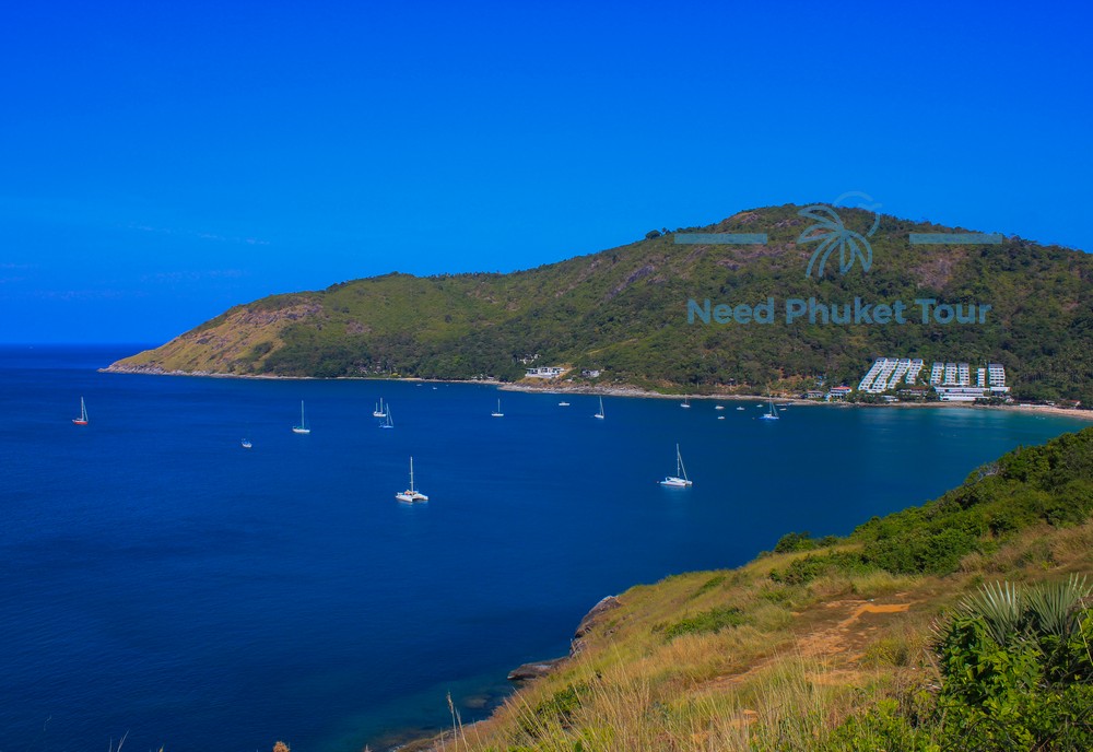 Need Phuket Tour