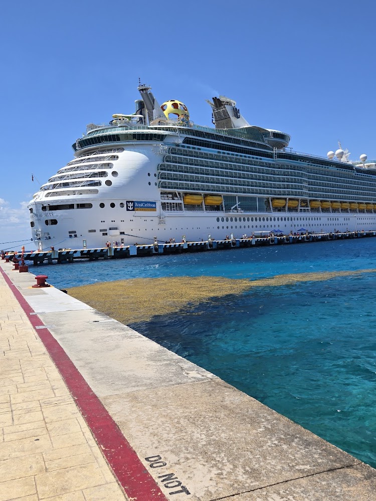 Travel Angel Planner