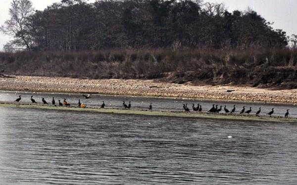 Eco Holidays Nepal Pvt. Ltd