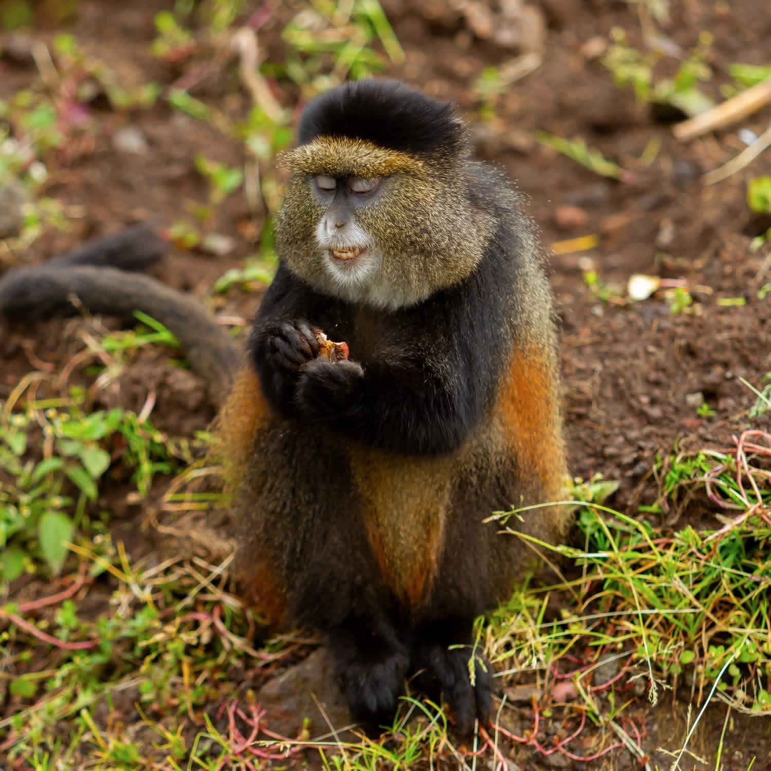 Unique Africa Ventures