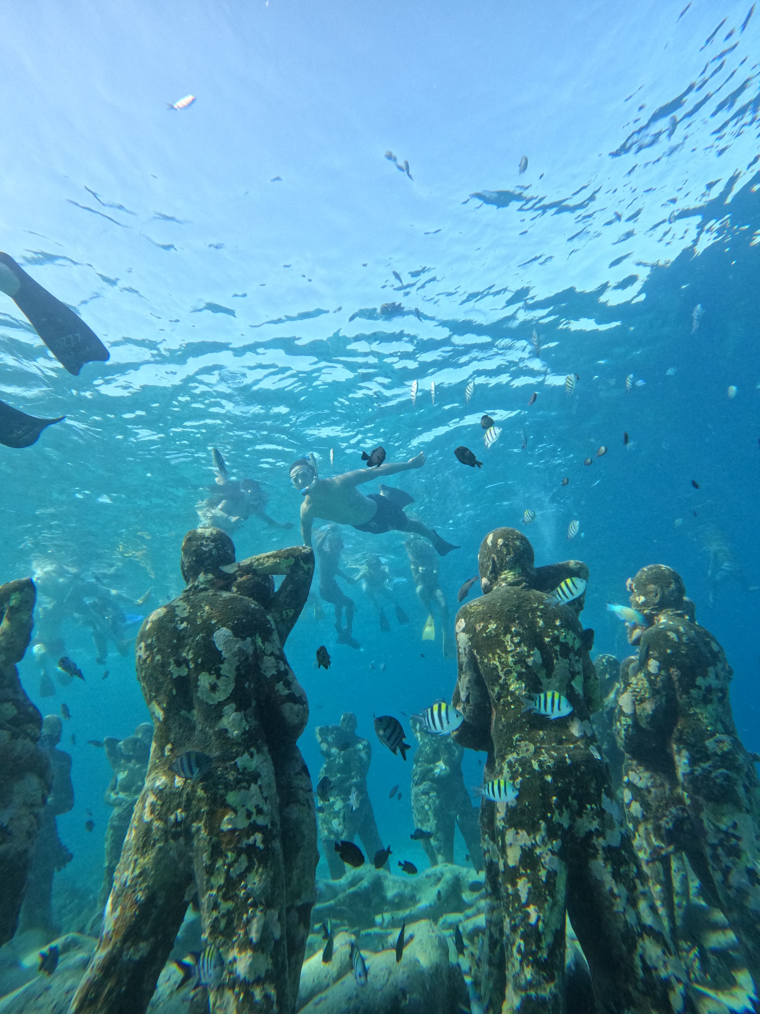 ozzy snorkeling centre
