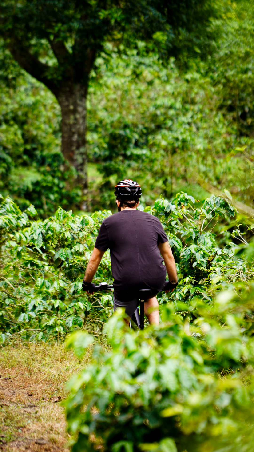 E-Valley Bikes Boquete