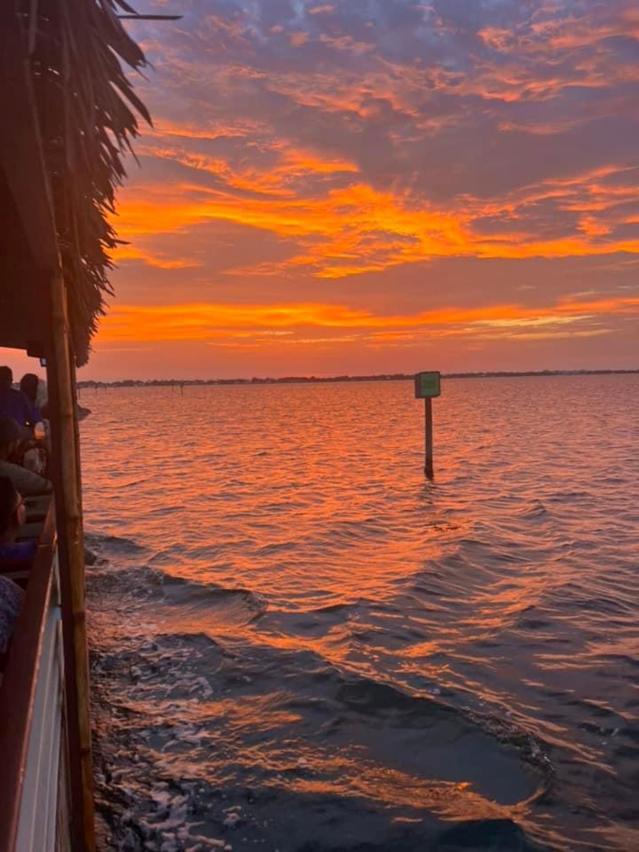 Cocoa Beach Dolphin Tours