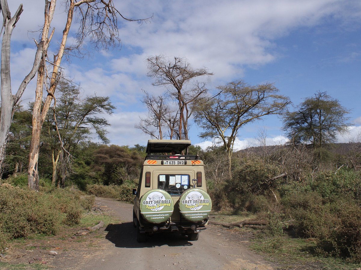 East Safari Tours