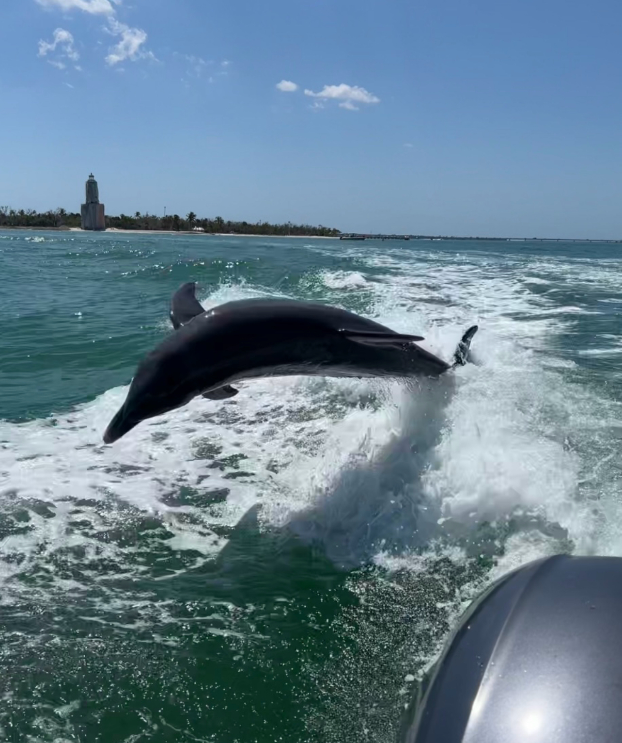 Coastal Friends Boat Tours